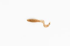 Caretta Curly 5 Cm Silikon Yem Candy