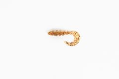 Caretta Curly 5 Cm Silikon Yem Candy