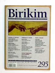 Birikim Dergisi Sayı:295 / 2013 - Dergi