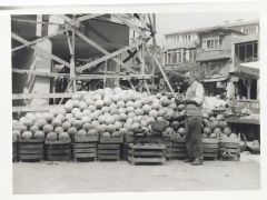 Tekirdağ ve karpuz - Fotoğraf