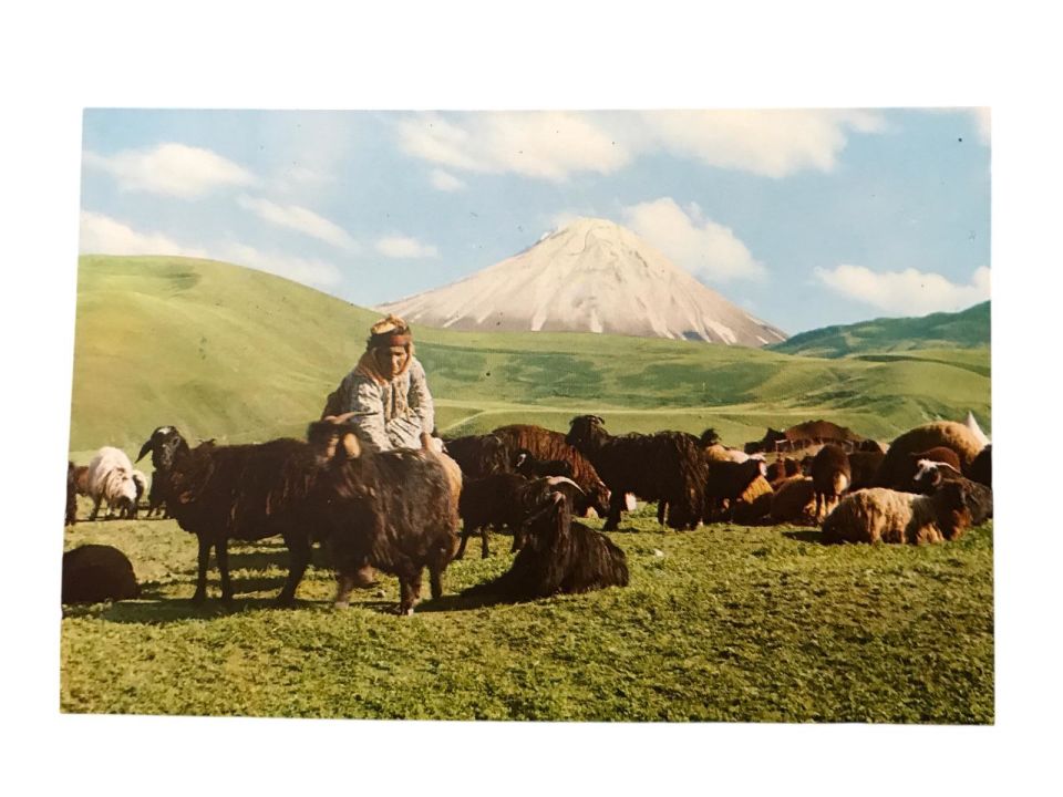 Küçük  Ağrı  Dağı- And Kartpo - 1970'li yıllara ait kartpostal / Arkası yazısız
