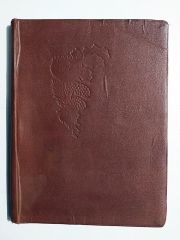Üzüm salkımı. bez ciltli - Uçak temalı defter