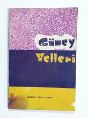 Güney Yelleri / Mehmet Recep ÇEBİŞLİ - Kitap