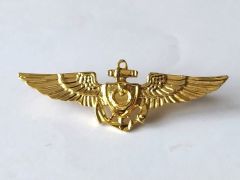 Deniz Kuvvetleri Pilot - Rozet