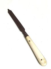 Kemik saplı, tırnak törpüsü