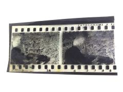 Bülent ECEVİT ve Meclis / 2 adet Negatif film