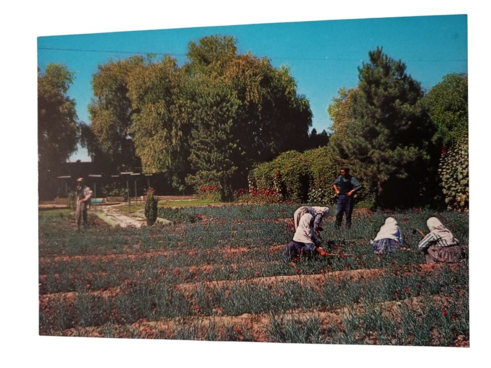 Eskişehir - 1970'li yıllara ait kartpostal / Arkası yazısız