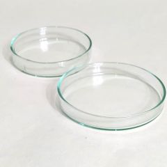 Cam Petri kabı - 10 adet