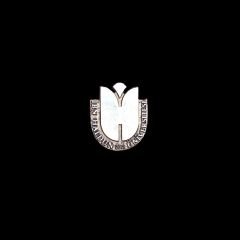 İbn Haldun Üniversitesi - Rozet