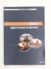 Kars İli İşgücü Piyasası Araştırması - Kitap