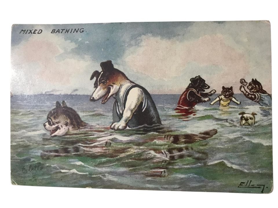 1910 Kedi ve köpekler - Denizde / Kartpostal