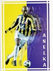 Anelka / Fenerbahçe Futbolcu Kartları