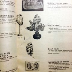 Bakış Fikir ve Pedagojiye ait Seçme Yazılar Mecmuası Eğitim araçları hakkında fotoğraflı, bilgiler. Sayı : 3 Mart 1964 - Kitap