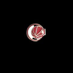 Basket temalı, Ayyıldızlı rozet