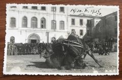 Deve güreşi - İzmir / 1930'lar fotokart