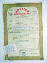 Anadol Anonim Türk Sigorta Şirketi - Sigorta poliçesi