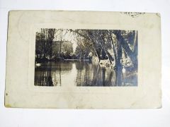 Suriye - Arkası Osmanlıca yazılı kartpostal / HALİYLE