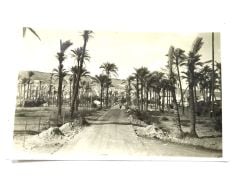 Bağdat Irak  / Kartpostal