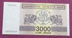 1993 Gürcistan 3000 Lari - Nümismatik