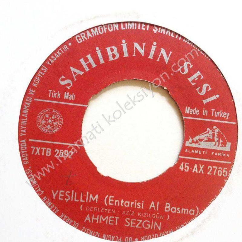 Yeşillim, Avcı vurmuş ceylanı / Ahmet SEZGİN