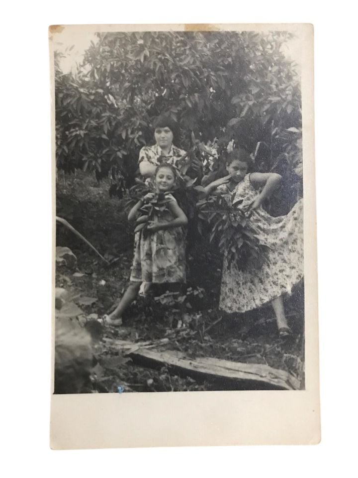 Fındık bahçesinde poz veren çocuklar - Fotoğraf