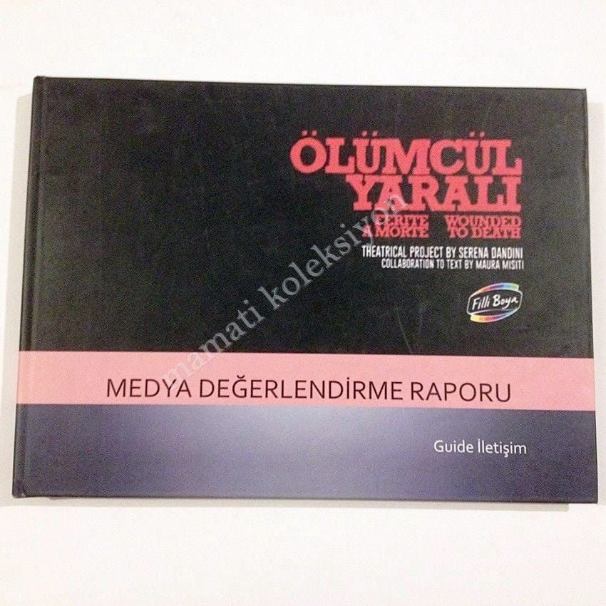 Ölümcül yaralı - Medya değerlendirme raporu / Filli boya
