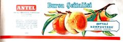 Bursa Şeftalisi / Antel Konserve Fabrikası - 11x30 etiket - Efemera