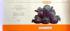 Enginar Göbeği / Antel Konserve Fabrikası - 15x30 etiket - Efemera