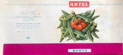 Bamya / Antel Konserve Fabrikası - 15x30 etiket - Efemera