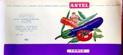 Türlü / Antel Konserve Fabrikası - 15x30 etiket - Efemera