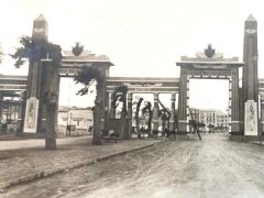 Kral Fuad - Karşılama töreni / Fotoğraf