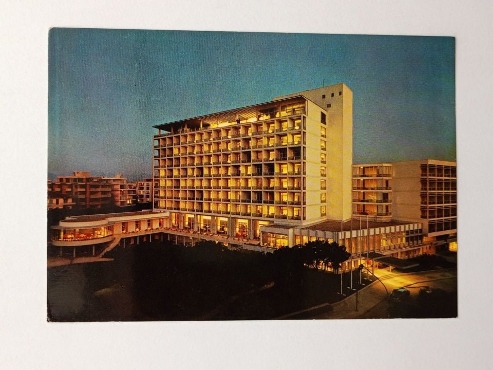 1910 Kedi ve köpekler - Denizde / Kartpostal