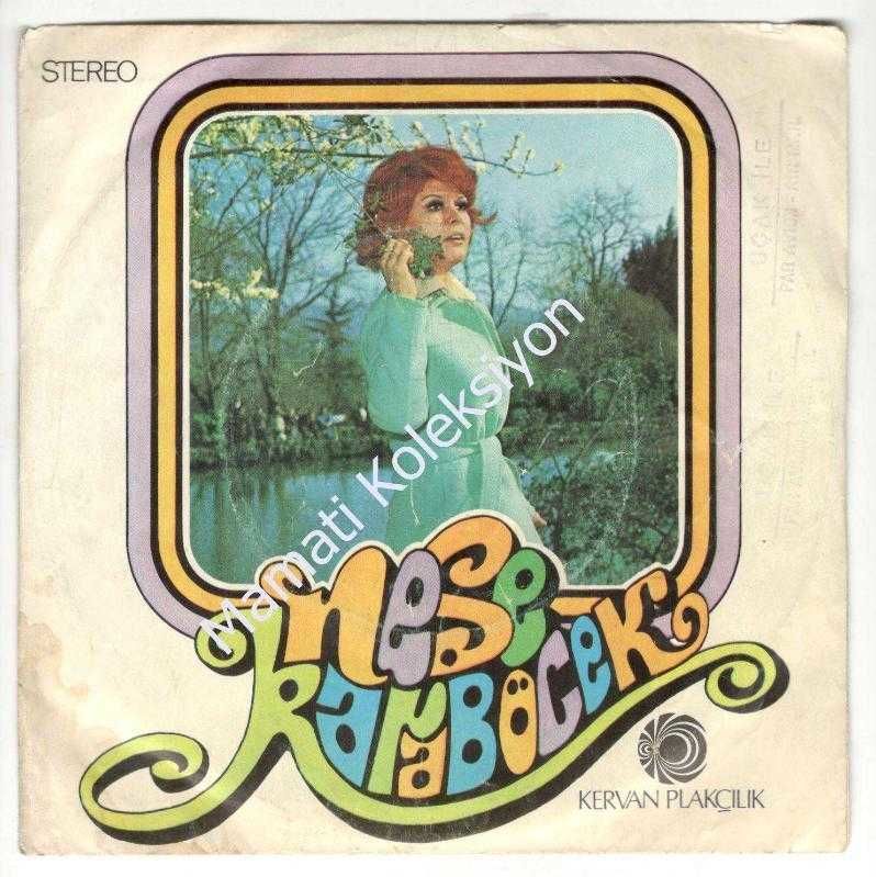 Neşe KARABÖCEK / Unut onu arkadaş - Usul usul / 45'lik plak