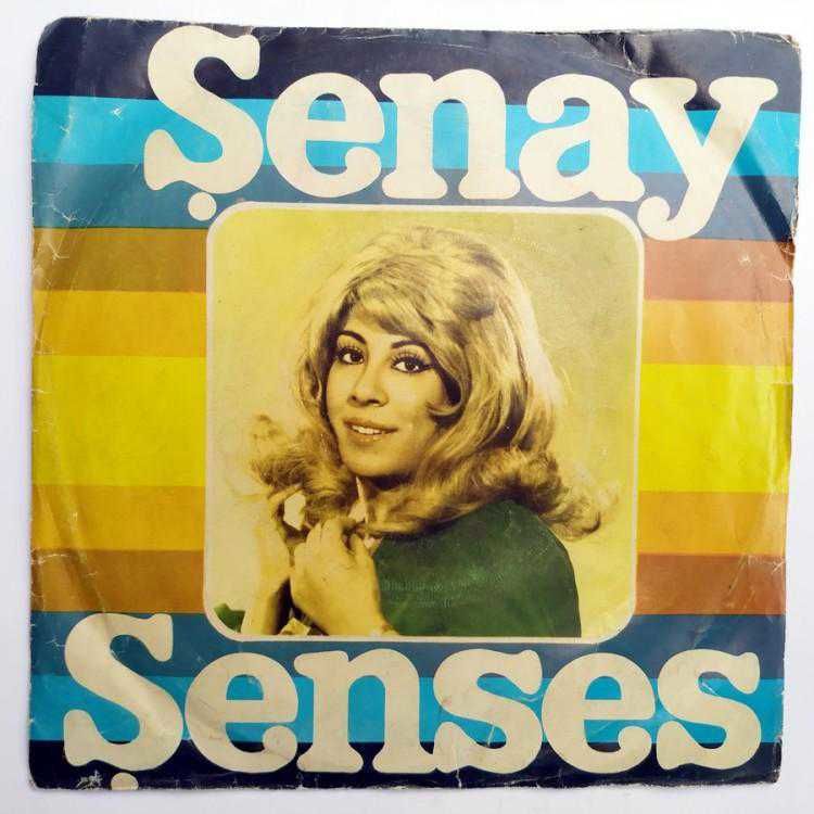 Nem kaldı - Dam üstüne çul serer - Şenay ŞENSES / 45'lik plak