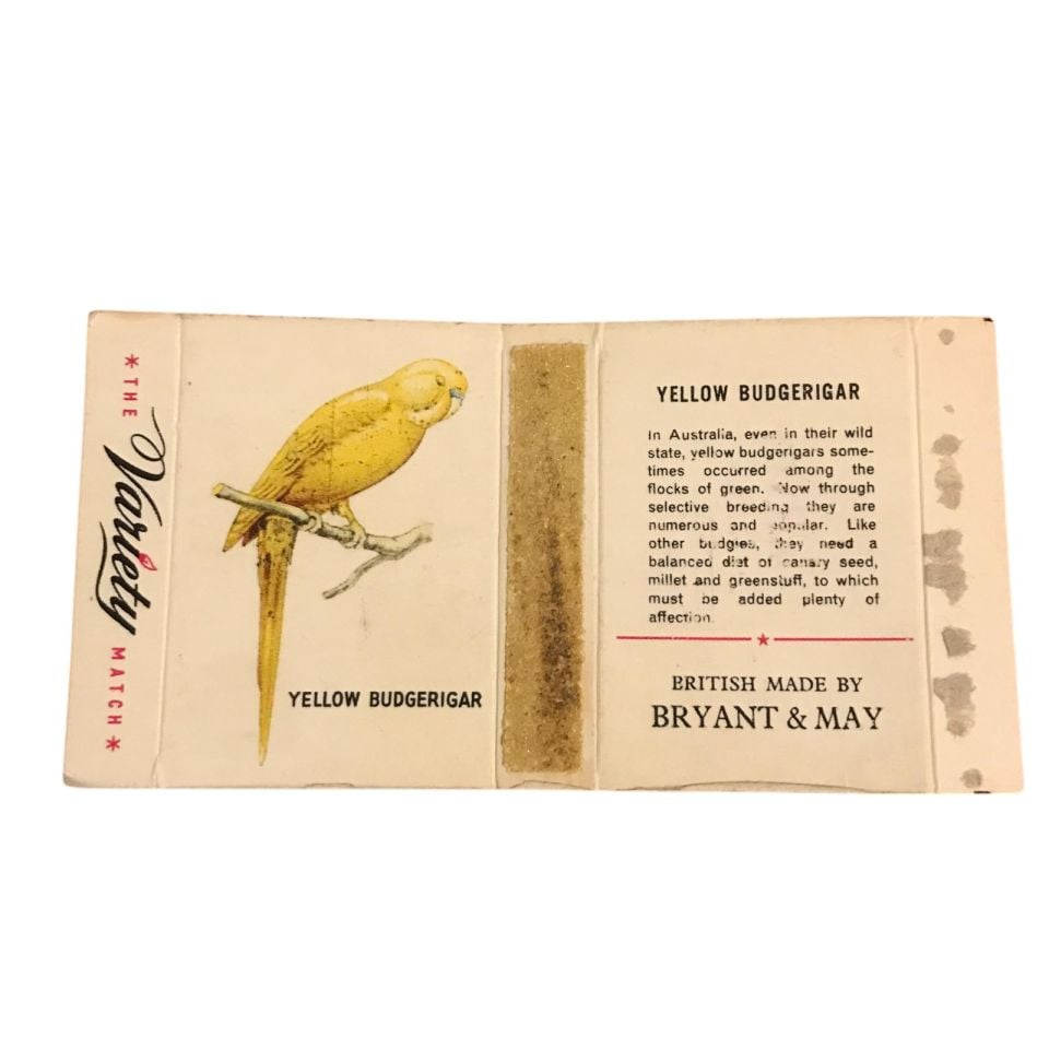 The Variety match - Yellow Budgerigar / Eski kibrit