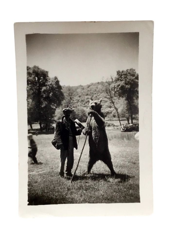 Ayıoynatıcı - 6.5x9.5 Fotoğraf