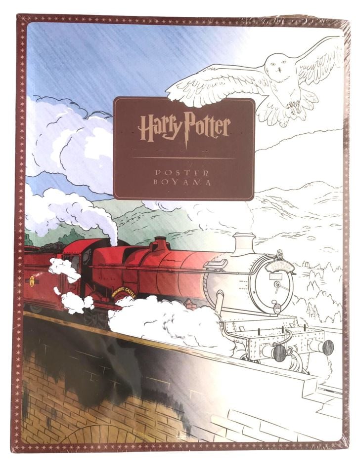 Harry Potter - Poster boyama / Ambalajında