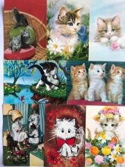 19 adet kedi kartpostalı