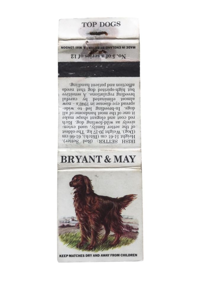 Bryant & May * Top Dogs - Irish Setter / Eski kibrit
