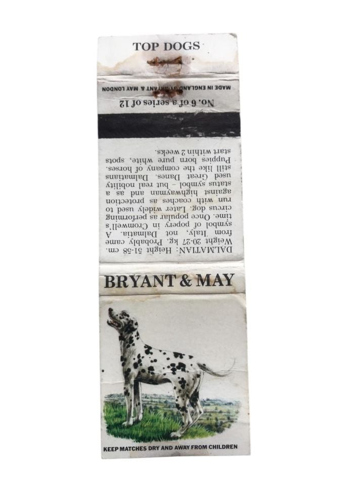 Bryant & May * Top Dogs - Fox Terrier / Eski kibrit