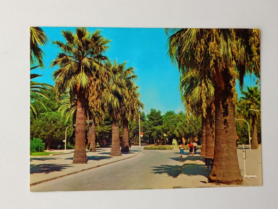 İzmir - Fuar ve palmiyeler - Kartpostal