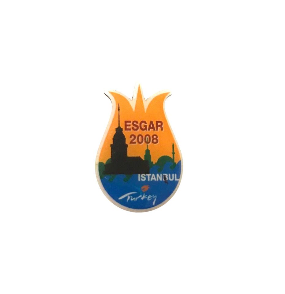 Esgar 2008 İstanbul - Eski rozet