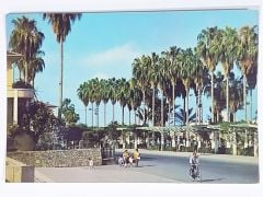 Antalya - Yetkin color Kartpostal