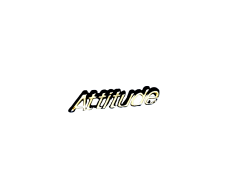 Attitude - Rozet