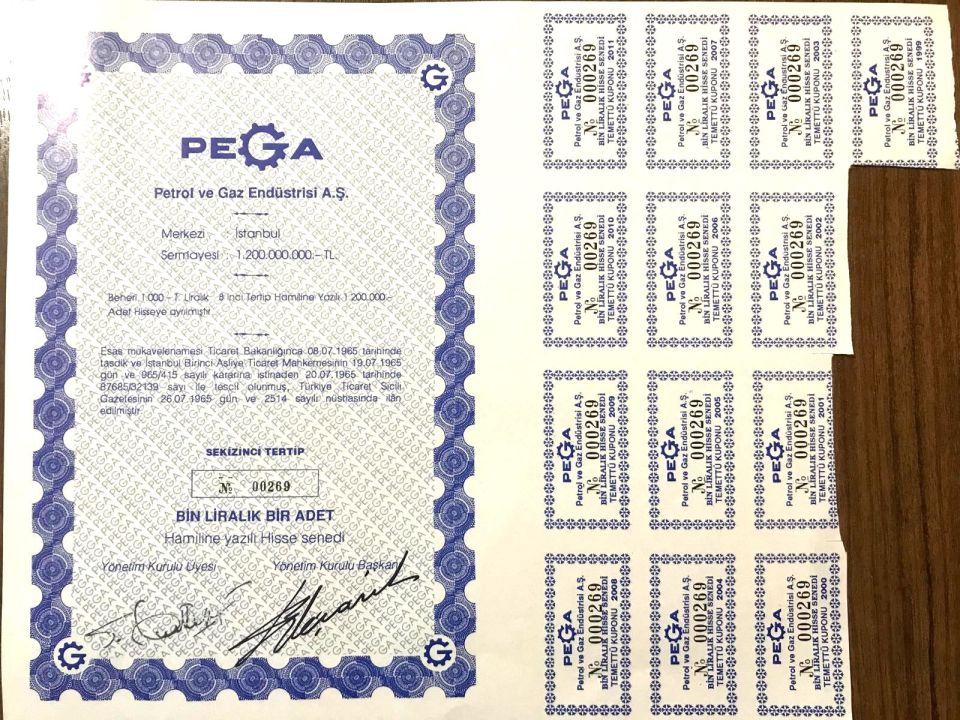 Pega Petrol ve Gaz Endüstrisi A.Ş. - Hisse Senedi