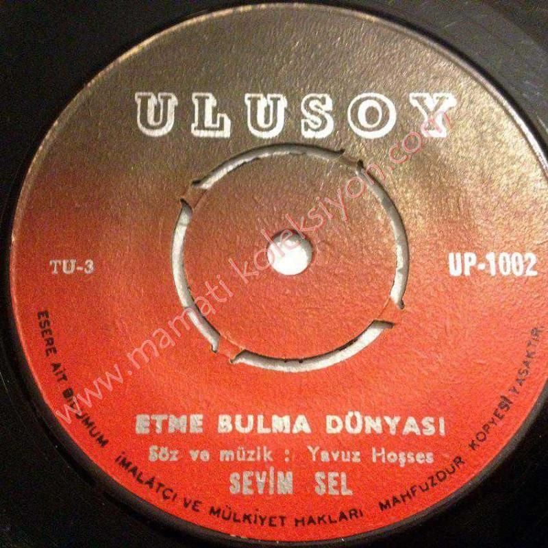 Etme bulma dünyası, Karanlık gecelerim - Sevim SEL / 45'lik plak