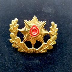 Pirinç Polis Kokartı