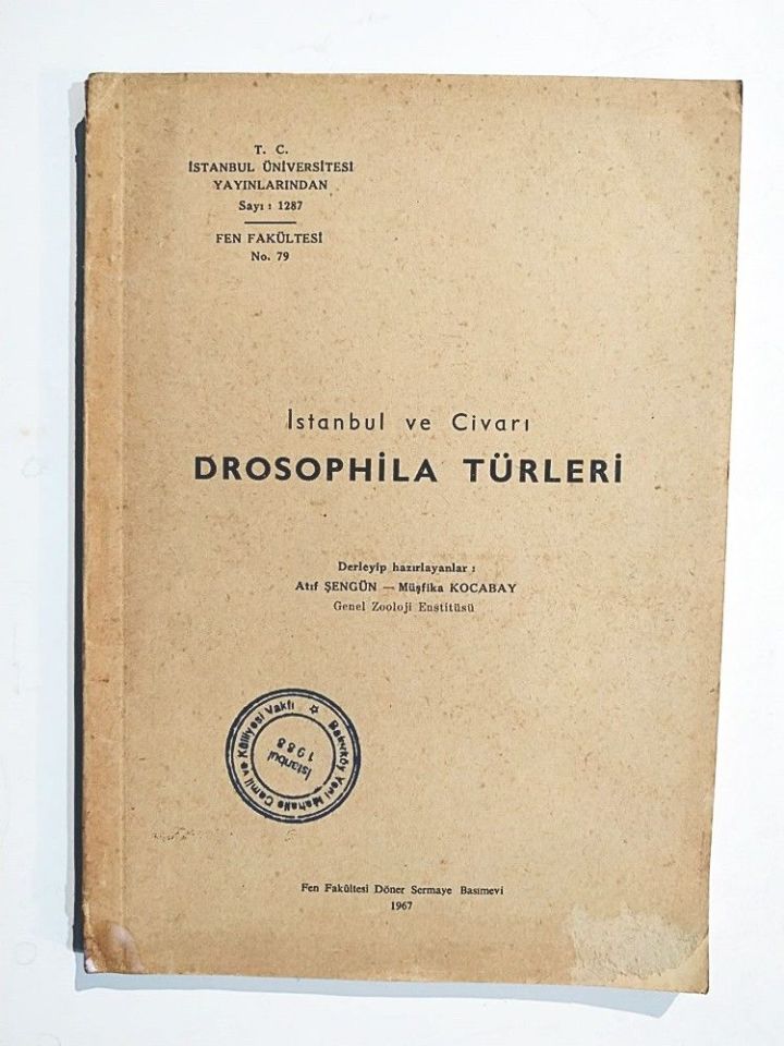 İstanbul ve çevresi Drosophila türleri - Kitap