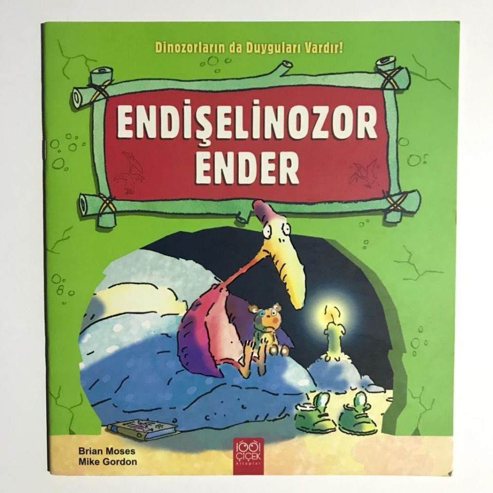 Endişelenizor Ender  / Kitap