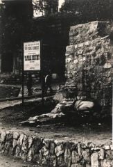 Gözlem Ajans - 15X22 Tiyatro afişli, fotoğraf - Fotoğraf sanatçısı; Melih